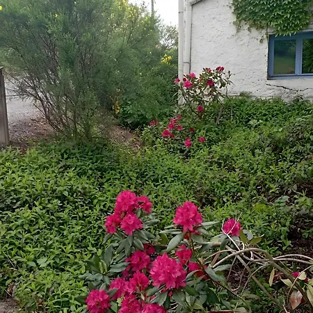 D'hotes Les Noisetiers Bed and Breakfast Saint-Martin-Lestra