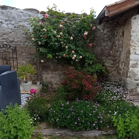 Bed & Breakfast D'hotes Les Noisetiers Saint-Martin-Lestra