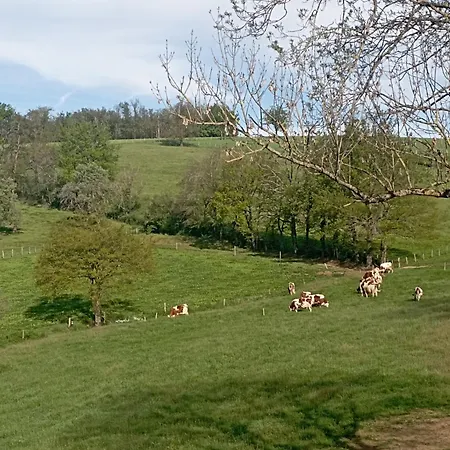 D'hôtes Les Noisetiers Saint-Martin-Lestra